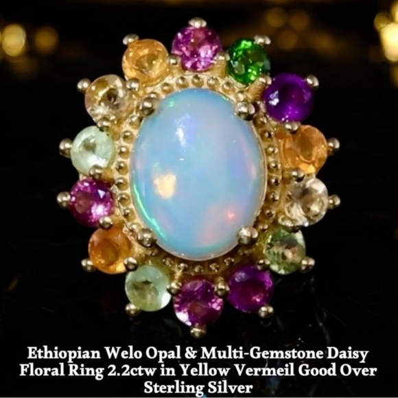 Meet your Posher, Terri - Picture 13 of 17